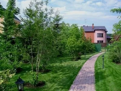 Ландшафтний дизайн довгого вузького ділянки фото