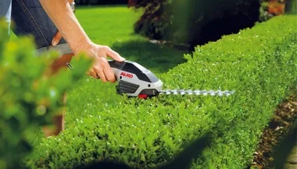 Кущоріз електричний для чого потрібен і як вибрати (вибрати) Кущоріз електричний для чого потрібен і як вибрати