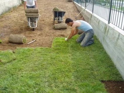 Ландшафтний дизайн ділянки своїми руками, ідеї ландшафтного дизайну дачної ділянки 10 і 6 соток (ділянки) Ландшафтний дизайн ділянки своїми руками, ідеї ландшафтного дизайну дачної ділянки 10 і 6 соток