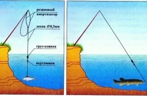 Літня і зимова жерлица своїми руками рогулька, прапорцем (ловля на жерлиці) Літня і зимова жерлица своїми руками рогулька, прапорцем