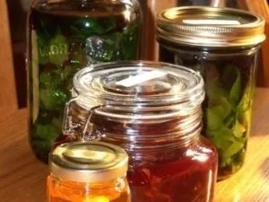 Лікування грижі шиї народними засобами рецепти (засобами) Лікування грижі шиї народними засобами рецепти