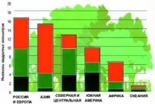 Ліси характеристика і види
