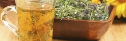 Лікування грижі хребта народними засобами без операції (відео) (хребта) Лікування грижі хребта народними засобами без операції (відео)