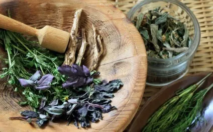 Лікування грижі Шморля - гімнастика, масаж, операція (лікування) Лікування грижі Шморля - гімнастика, масаж, операція