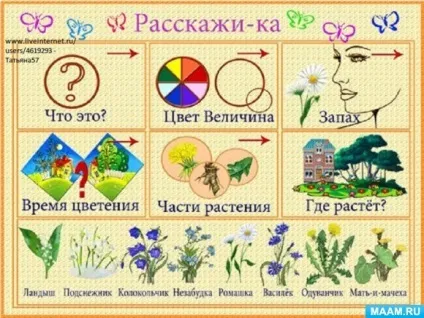 Лексична тема садові і польові квіти