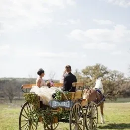 Логістика і транспорт на весіллі рекомендації по вибору - the bride (транспорт) Логістика і транспорт на весіллі рекомендації по вибору - the bride