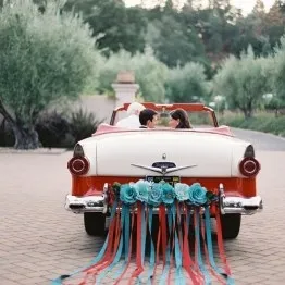 Логістика і транспорт на весіллі рекомендації по вибору - the bride (транспорт) Логістика і транспорт на весіллі рекомендації по вибору - the bride
