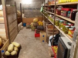 Кращі способи зимового зберігання овочів в погребі поради експертів