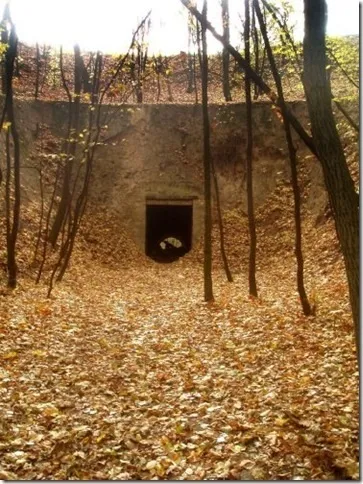 Лиса гора в киеве