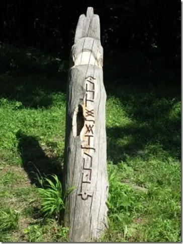 Лиса гора в киеве