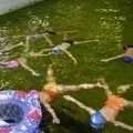 Макет «зоопарк»