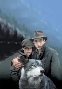 Магія перемоги (2011) - дивитись онлайн (онлайн) Магія перемоги (2011) - дивитись онлайн