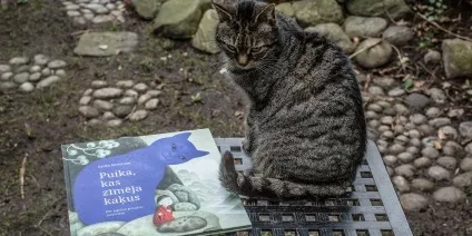 Хлопчик, який малював кішок