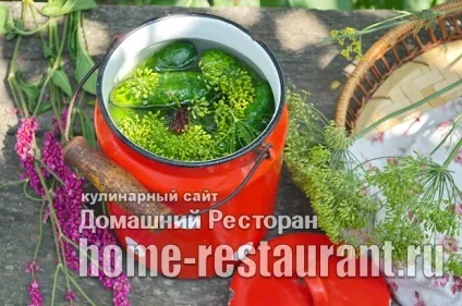 Малосольні огірки в каструлі рецепт з холодною водою (каструлі) Малосольні огірки в каструлі рецепт з холодною водою