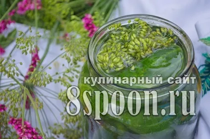 Малосольні огірки в банку в холодній воді - 8 (холодної) Малосольні огірки в банку в холодній воді - 8