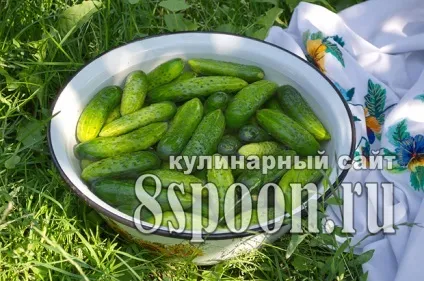 Малосольні огірки в банку в холодній воді - 8 (огірки) Малосольні огірки в банку в холодній воді - 8
