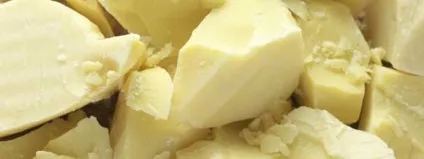 Масло какао властивості і застосування в косметології, рецепти масок (масло) Масло какао властивості і застосування в косметології, рецепти масок