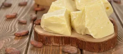 Масло какао властивості і застосування в косметології, рецепти масок (какао) Масло какао властивості і застосування в косметології, рецепти масок