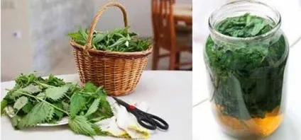 Маски для обличчя з кропиви, блог Ірини Зайцевої (маски для обличчя з кропиви) Маски для обличчя з кропиви, блог Ірини Зайцевої