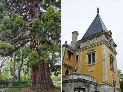 Масандрівський палац, крим екскурсії, як дістатися (массандровский палац крим) Масандрівський палац, крим екскурсії, як дістатися
