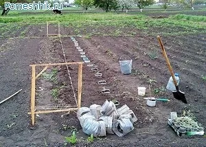 Капустянка як з нею боротися агротехніка в допомогу (боротися) Капустянка як з нею боротися агротехніка в допомогу