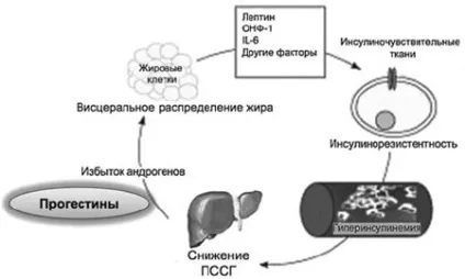 Метаболічні ефекти гормональних контрацептивів (контрацептивів) Метаболічні ефекти гормональних контрацептивів