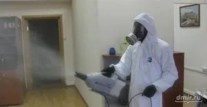 Методи знищення осиних гнізд в дерев'яних будинках і інших місцях, як вивести ос з ділянки