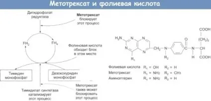 Метотрексат при ревматоїдному артриті лікування і відгуки (лікування) Метотрексат при ревматоїдному артриті лікування і відгуки