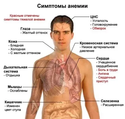 мікроелемент залізо
