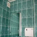 Мокриці у ванній як позбутися швидко і надійно (ванною ймовірність появи мокриць) Мокриці у ванній як позбутися швидко і надійно