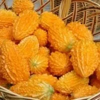 Момордика - як вживати (вживати) Момордика - як вживати