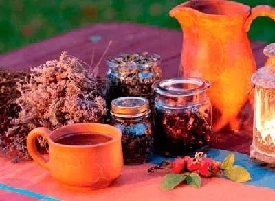 Монастирський чай від простатиту, склад, відгуки