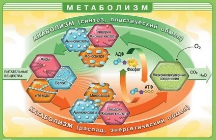 Морква по корейськи при схудненні (морква) Морква по корейськи при схудненні
