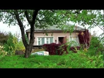 Чи можна розмножити яблуню з насіння, і як отримувати хороший урожай (можна) Чи можна розмножити яблуню з насіння, і як отримувати хороший урожай