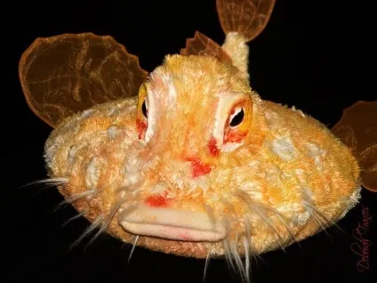 морський нетопир