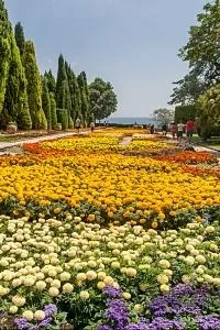 Наш відпочинок в Несебрі