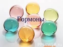 На що впливають гормони, Зоя