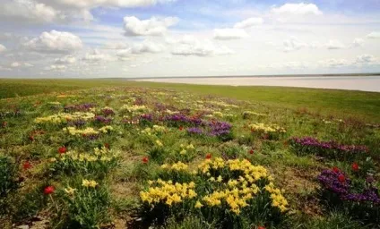 Населення і господарство лісостеповій та степовій зон (географія 8 клас) (географія) Населення і господарство лісостеповій та степовій зон (географія 8 клас)
