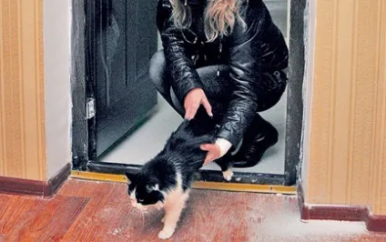 Народні прикмети на новосілля, прикмети для новоселів (прикмети) Народні прикмети на новосілля, прикмети для новоселів