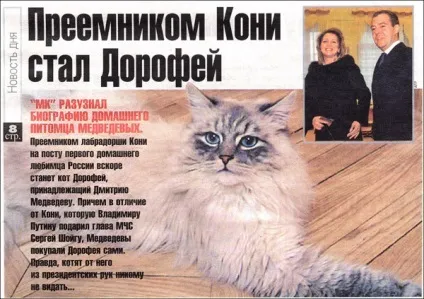 На Рубльовці шукають втік кота Дмитра Медведєва (кота) На Рубльовці шукають втік кота Дмитра Медведєва