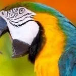 Не можу мовчати, блог Лучків Світлани (Лучків) Не можу мовчати, блог Лучків Світлани