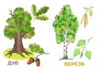 Не можна ламати гілки і дерева - завантажити і роздрукувати