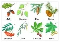 Не можна ламати гілки і дерева - завантажити і роздрукувати