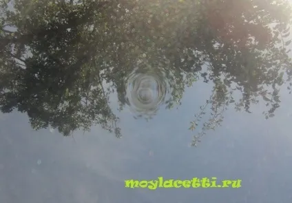 Недоліки лачетті, мій лачетті