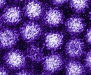 Норовірус симптоми у дорослих і дітей, при вагітності, лікування, профілактика (вагітності) Норовірус симптоми у дорослих і дітей, при вагітності, лікування, профілактика