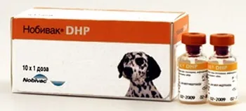 Нобівак dhр і Нобівак dhррi - комплексна вакцинація цуценя (цуценя) Нобівак dhр і Нобівак dhррi - комплексна вакцинація цуценя
