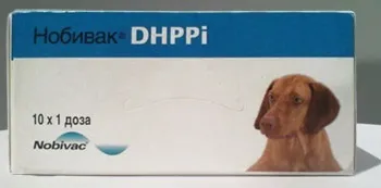 Нобівак dhр і Нобівак dhррi - комплексна вакцинація цуценя (Нобівак dhррi) Нобівак dhр і Нобівак dhррi - комплексна вакцинація цуценя