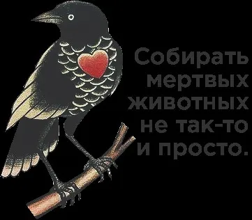 Незнайомець надіслав мені 120k за оголення, а натомість я ледь не втратила розуму (незнайомець) Незнайомець надіслав мені 120k за оголення, а натомість я ледь не втратила розуму