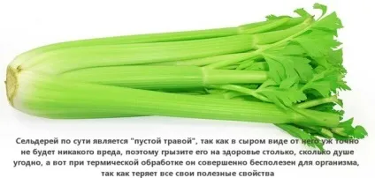 Низькокалорійні продукти для схуднення список і таблиця (схуднення) Низькокалорійні продукти для схуднення список і таблиця