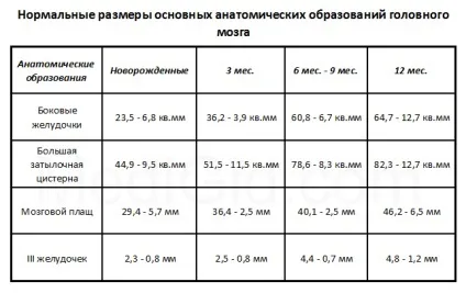 Нейросонографія - що це таке НСГ головного мозку, дорослим, де зробити, норми, розшифровка (головного) Нейросонографія - що це таке НСГ головного мозку, дорослим, де зробити, норми, розшифровка